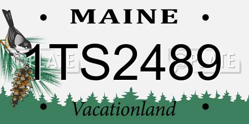 1TS2489 Maine License Plate