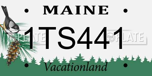 1TS441 Maine License Plate