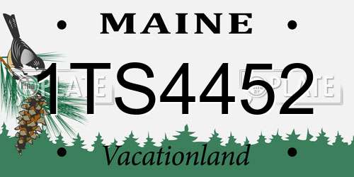 1TS4452 Maine License Plate