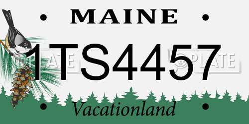 1TS4457 Maine License Plate