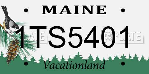 1TS5401 Maine License Plate