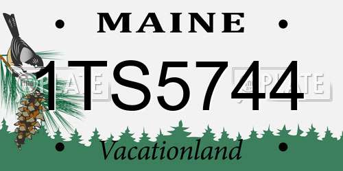 1TS5744 Maine License Plate