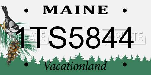 1TS5844 Maine License Plate