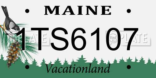 1TS6107 Maine License Plate
