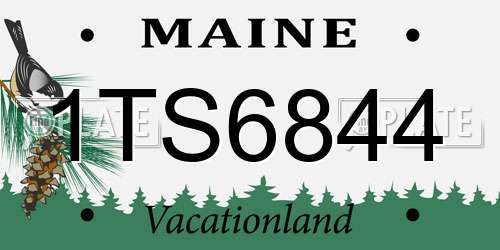 1TS6844 Maine License Plate