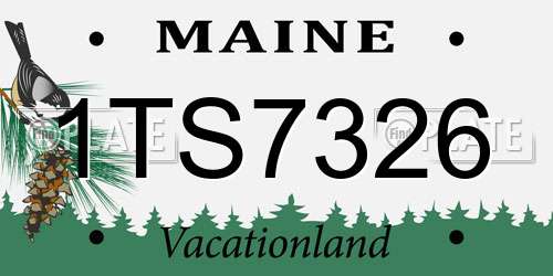 1TS7326 Maine License Plate