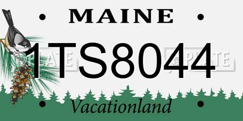 1TS8044 Maine License Plate