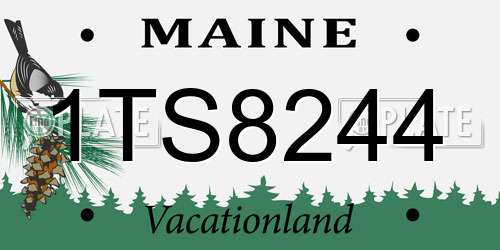 1TS8244 Maine License Plate