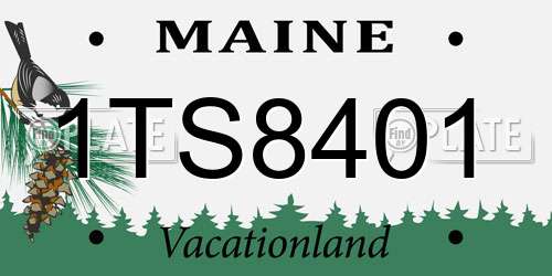1TS8401 Maine License Plate