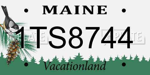 1TS8744 Maine License Plate