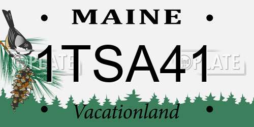 1TSA41 Maine License Plate
