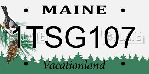 1TSG107 Maine License Plate