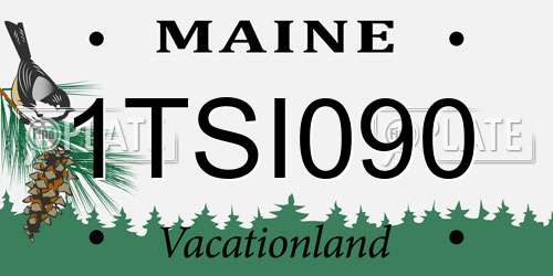 1TSI090 Maine License Plate