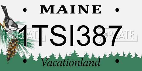 1TSI387 Maine License Plate