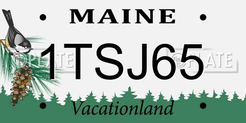 1TSJ65 Maine License Plate