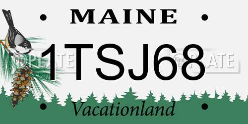 1TSJ68 Maine License Plate