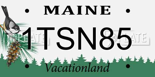 1TSN85 Maine License Plate