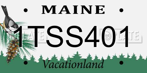1TSS401 Maine License Plate