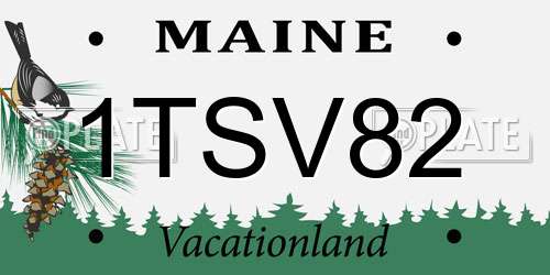 1TSV82 Maine License Plate