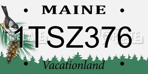 1TSZ376 Maine License Plate