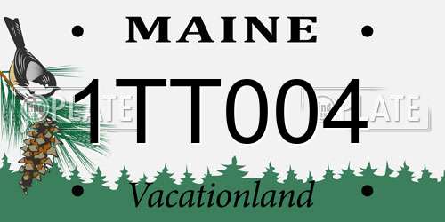 1TT004 Maine License Plate