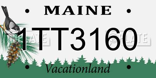 1TT3160 Maine License Plate