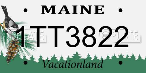1TT3822 Maine License Plate