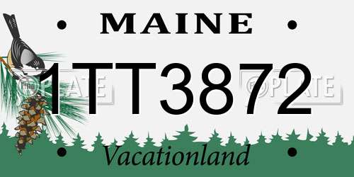 1TT3872 Maine License Plate