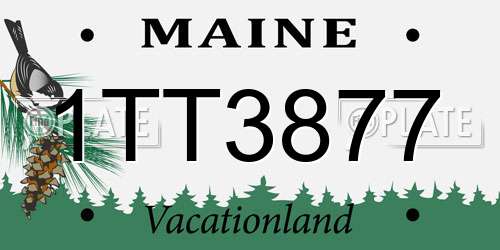1TT3877 Maine License Plate
