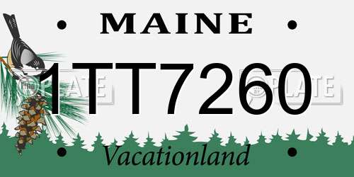 1TT7260 Maine License Plate