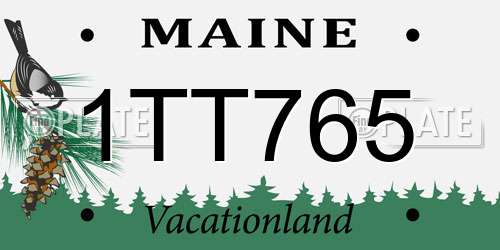 1TT765 Maine License Plate