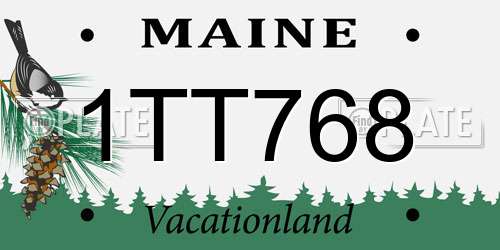 1TT768 Maine License Plate