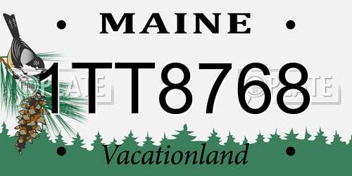 1TT8768 Maine License Plate