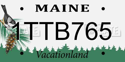 1TTB765 Maine License Plate