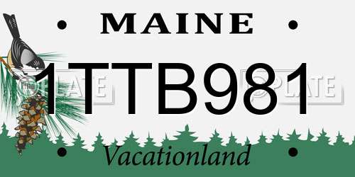 1TTB981 Maine License Plate