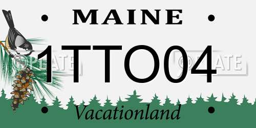 1TTO04 Maine License Plate