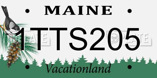1TTS205 Maine License Plate