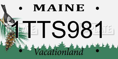 1TTS981 Maine License Plate