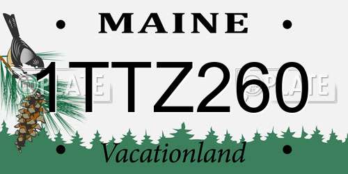 1TTZ260 Maine License Plate