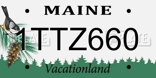 1TTZ660 Maine License Plate