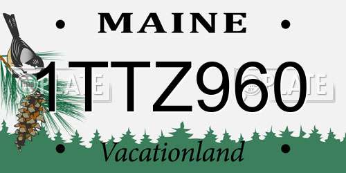 1TTZ960 Maine License Plate