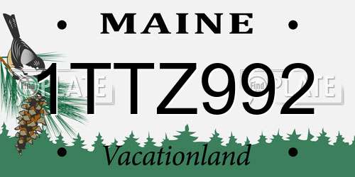 1TTZ992 Maine License Plate