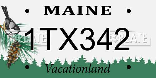 1TX342 Maine License Plate