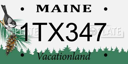 1TX347 Maine License Plate