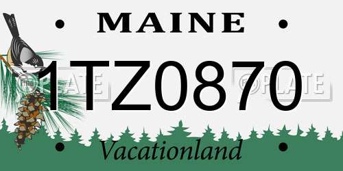 1TZ0870 Maine License Plate