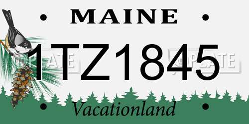 1TZ1845 Maine License Plate