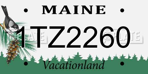 1TZ2260 Maine License Plate