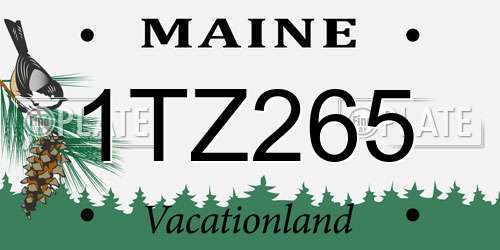 1TZ265 Maine License Plate