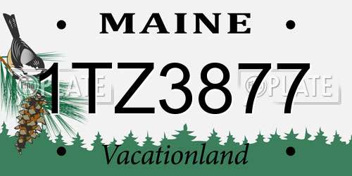 1TZ3877 Maine License Plate