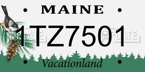 1TZ7501 Maine License Plate